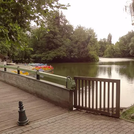 Dia Miskolc