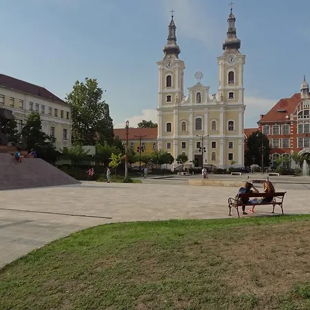 Dia Miskolc