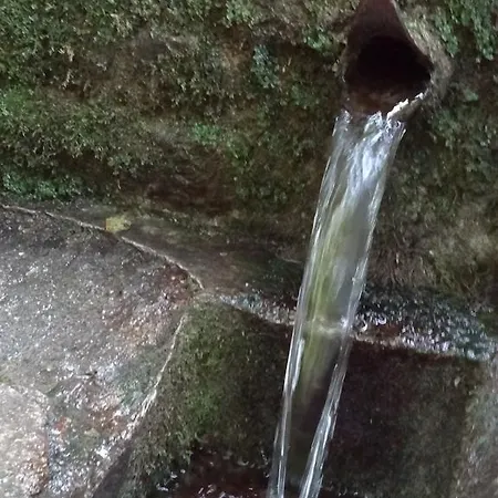 Apartmán Dia