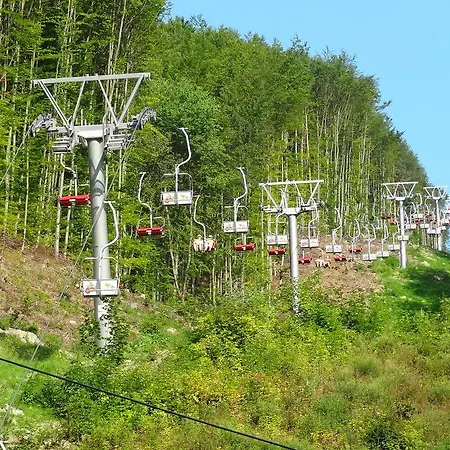 Dia Miškovec