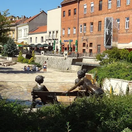 Dia Miskolc
