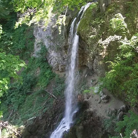 Dia Miskolc