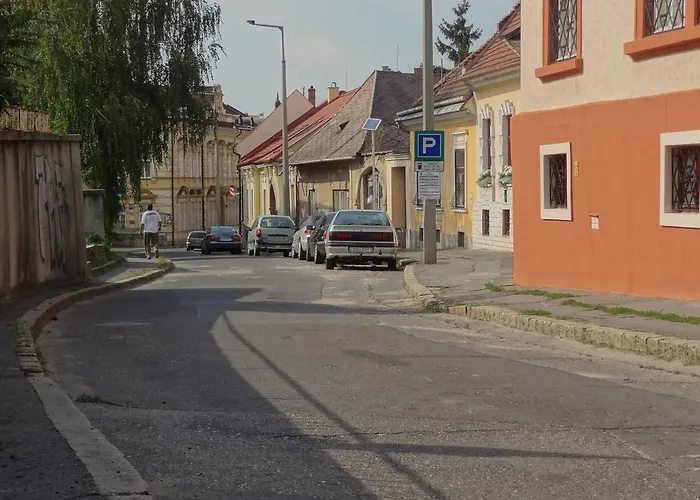 Dia Miskolc